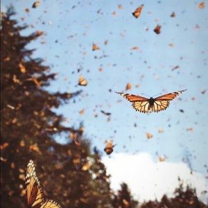 Meet your Posher, Ella